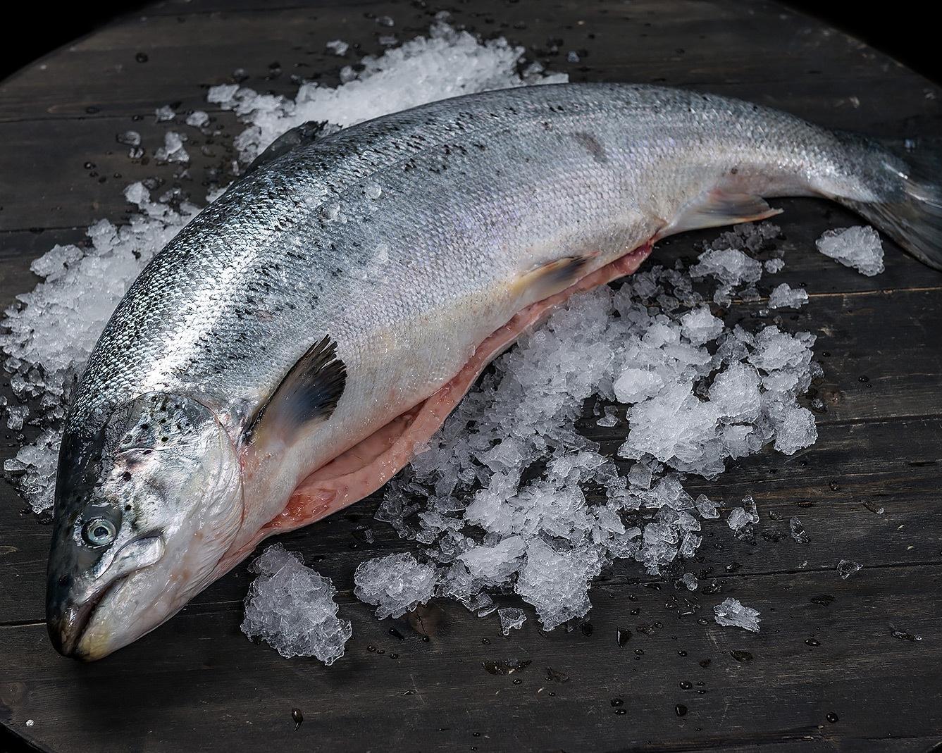 Семга (3-4 кг) с/м 